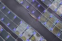 Floating Fish Hatchery